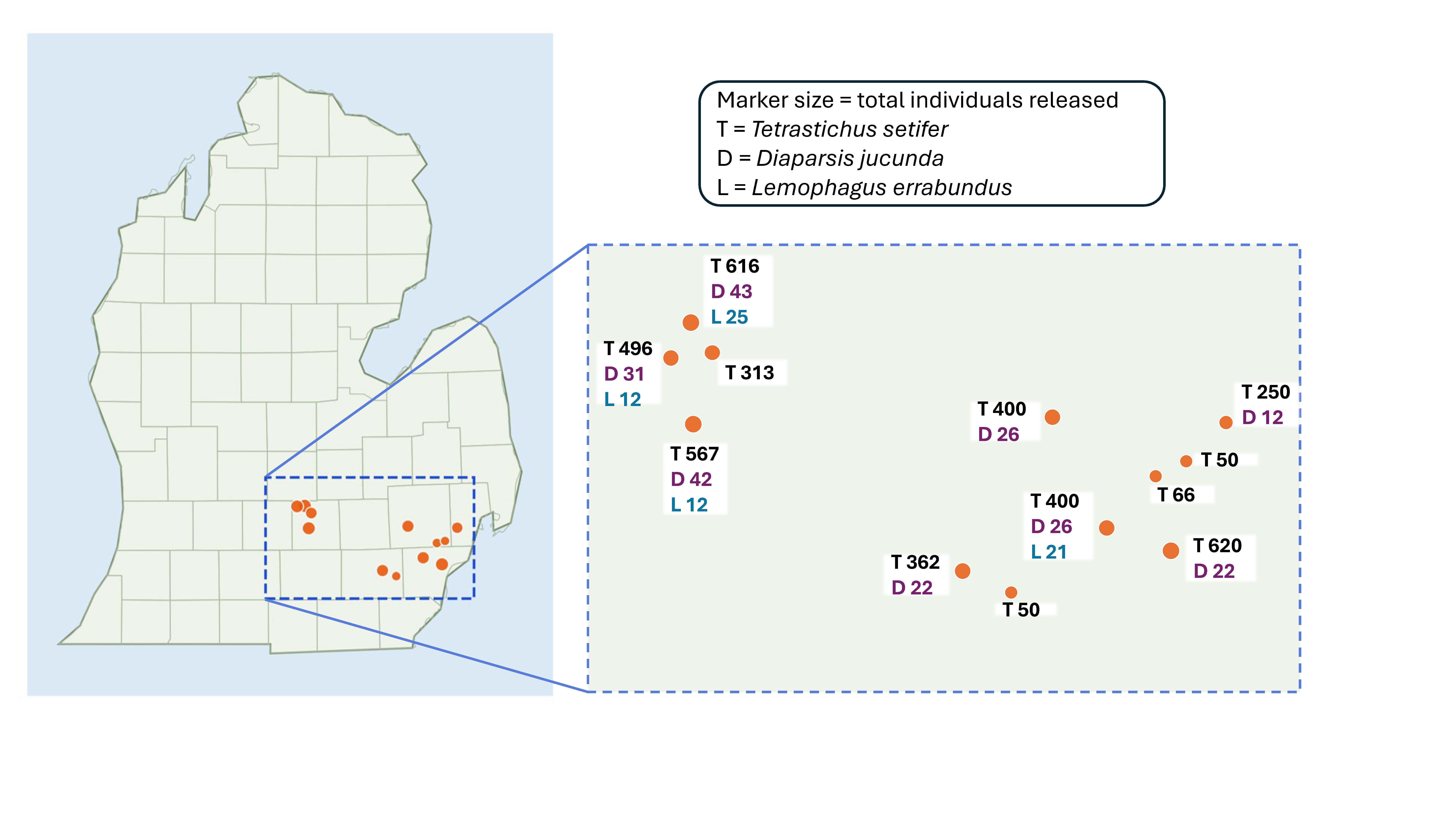 Map of Michigan highlighting 11 release sites where three species of parasitic wasps were released as biological control agents for the lily leaf beetle. An enlarged inset of southern Michigan shows the release locations. Marker size represents the total number of wasps released at each site, and labels indicate the number of individuals released for each species: Tetrastichus setifer (T), Diaparsis jucunda (D) and Lemophagus errabundus (L). Releases ranged from 50 to 620 T. setifer, 12 to 43 D. jucunda and 12 to 25 L. errabundus per site, with some locations receiving only one or two of the three species.